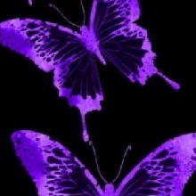 Guest_Babyraven