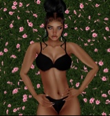 Guest_Jasmine282341