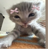 Guest_marie948004