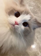 Guest_MEELOODY