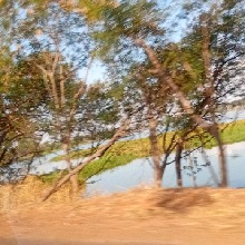 Guest_Larissa767950