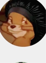 Guest_Kameil1589