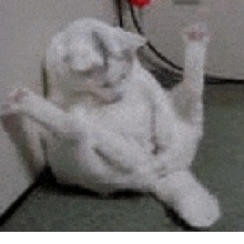 Guest_Wlwwwww