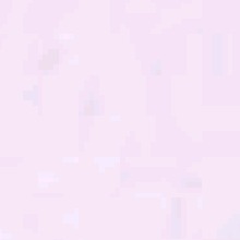 Guest_lilyth24