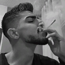 al666sh