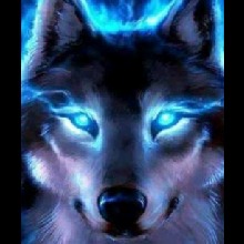 Guest_BlueCami
