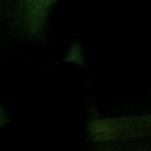Guest_Tunio3