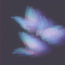 Guest_Fancy25