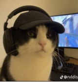 avpic