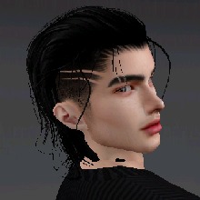 Guest_Andi420930