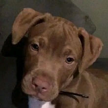 Guest_Khloe566647