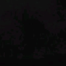 Guest_MariaClaraSilva27