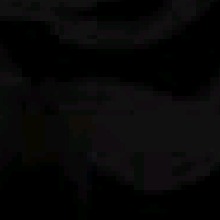 Guest_Lara533950