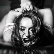 Guest_Dina831258