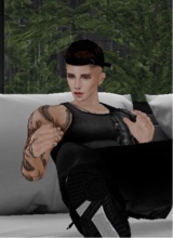 Guest_Tomas011
