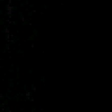 Guest_Bellaa162