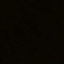 Guest_Jace696650