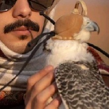 Guest_prelatecadmiumgr48e7