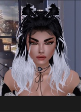 Guest_turtlebayxo