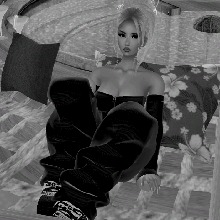 Guest_Fiona745025