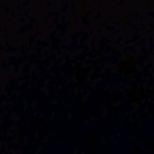 Guest_mochiluv