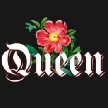 Guest_Marcia165725