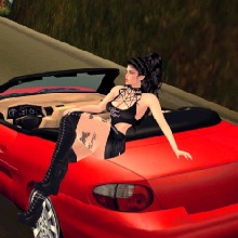 Guest_Ariany68