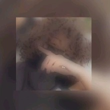 Guest_PROMESARD