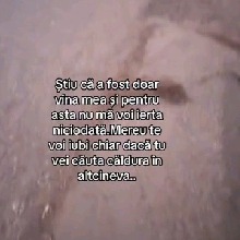 Guest_swiftultramarine0051