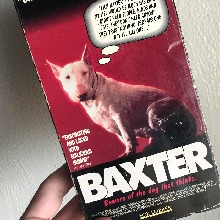 Guest_disBAXTER