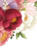 Guest_cherry748768
