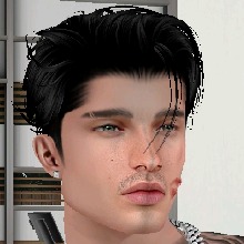 avatar-billede