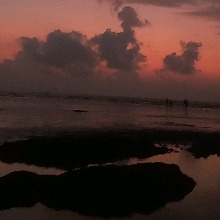 Guest_Amar944173