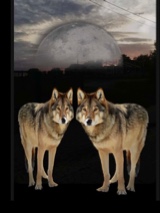 Guest_Wolfsgirl121