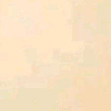 Guest_russaa2