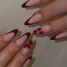 Guest_Coco417902