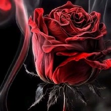 Guest_RosySantos1
