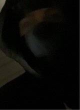 Guest_Tillybean1