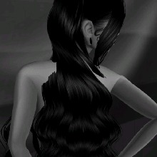 Guest_Evelyn132085