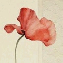 Guest_Lili1911