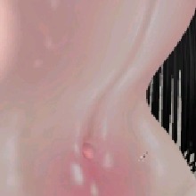 Guest_DonaVitria