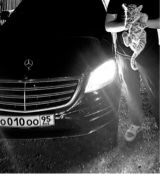 Guest_borzaevv18