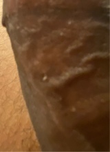 Guest_Zippo3