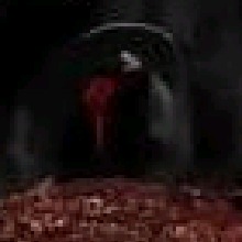 Guest_DODACTER