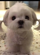 Guest_metiagt