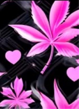 Guest_evellyn500200