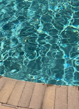 Guest_Miguel903677
