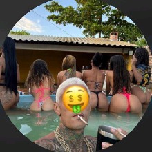 Guest_rosybrowndodgerba226