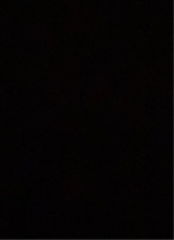 Guest_yzzzs97k