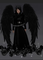 TheRadioProphet
